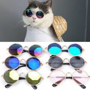 Pet Glasses Dogs & Cat